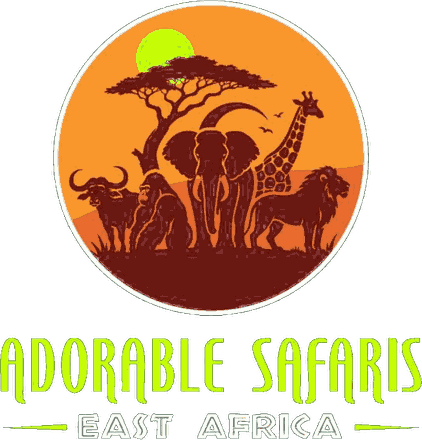 Adorable Safaris logo