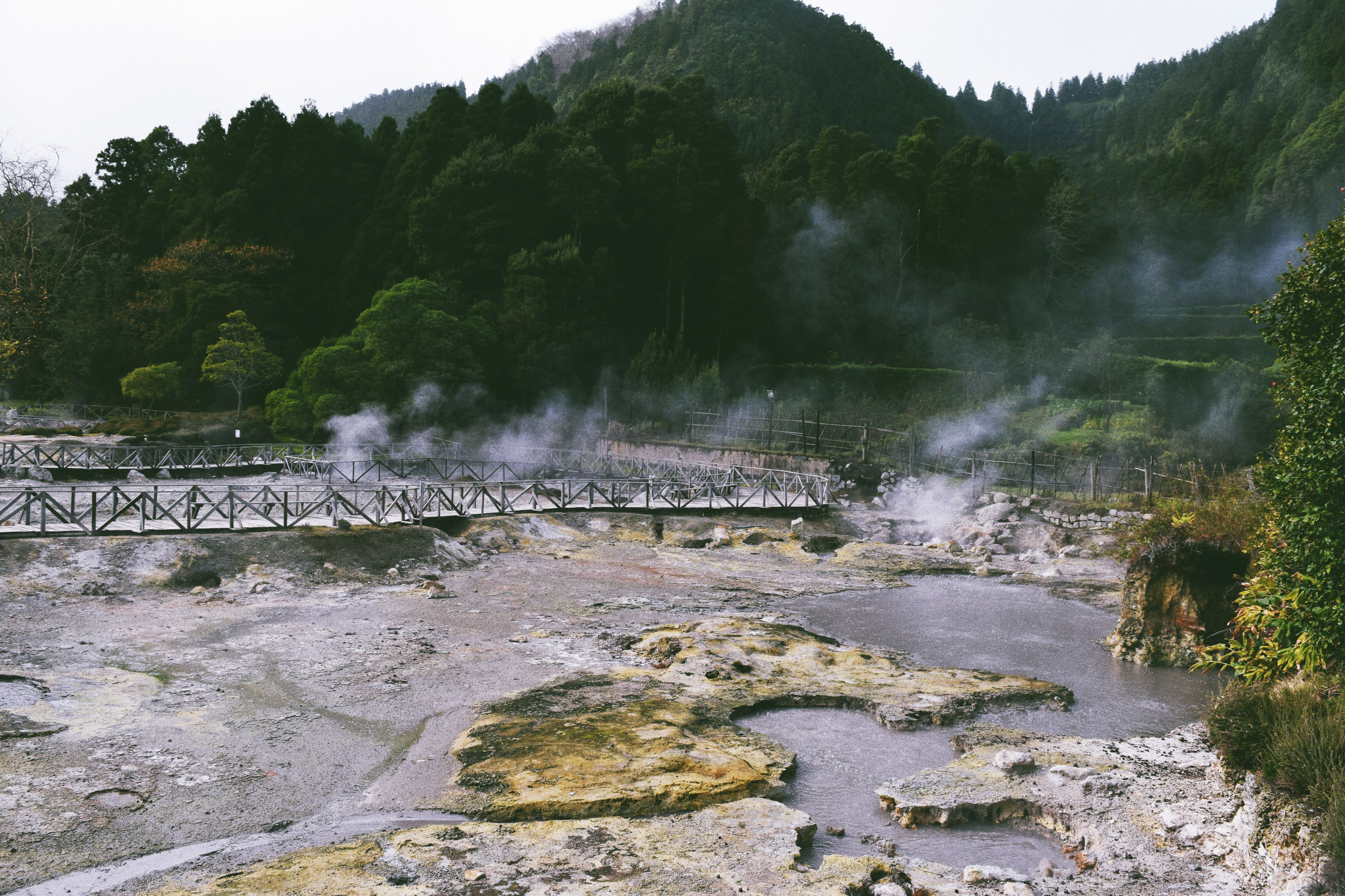 Steam rises from a geothermal pool tucked into a lush, tropical garden landscape.