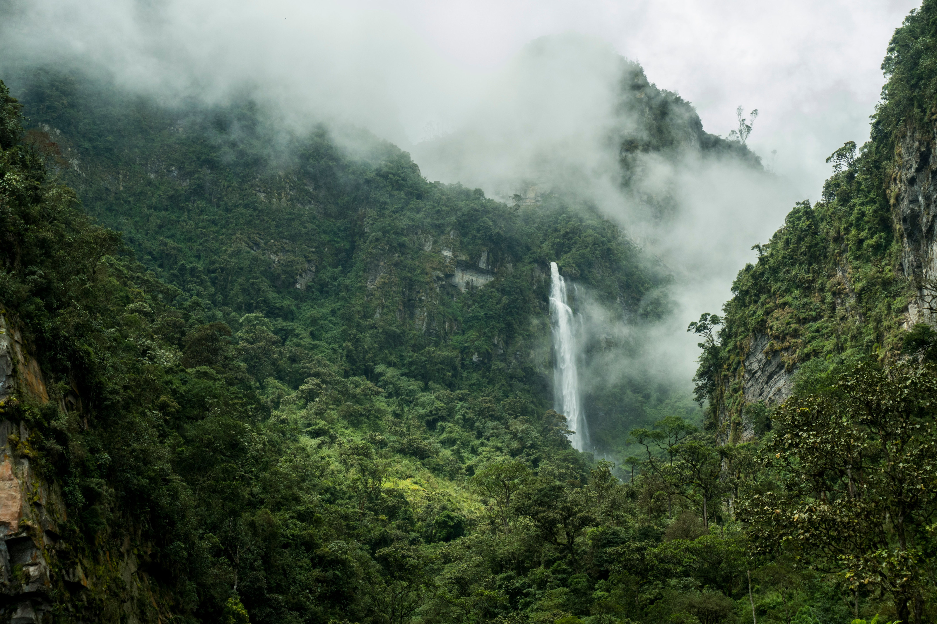 Aberdare National Park