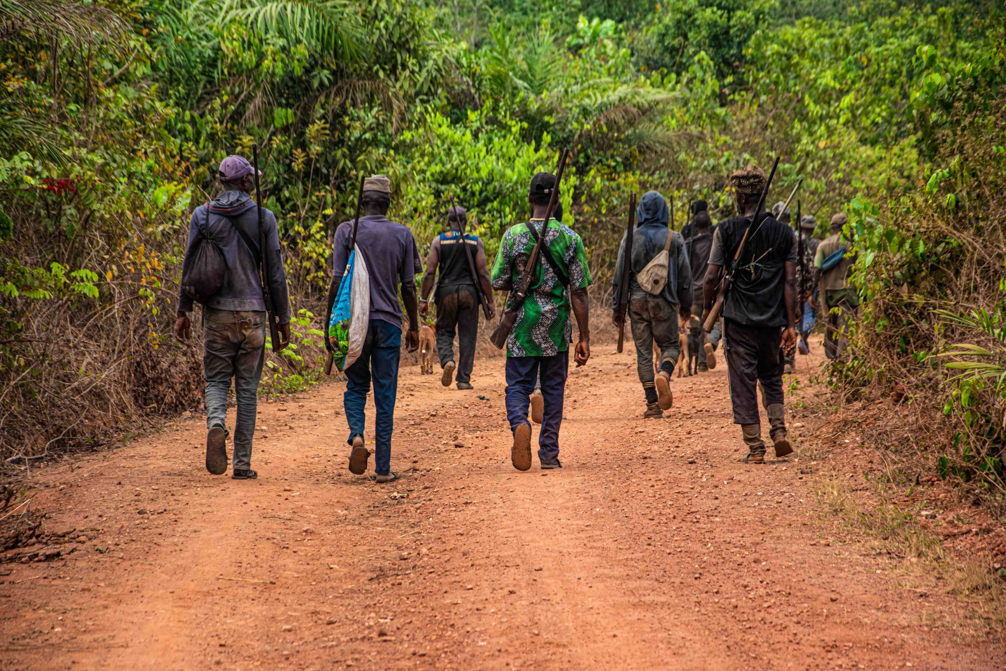 A group walking single file down a dirt track through the bush with gear.