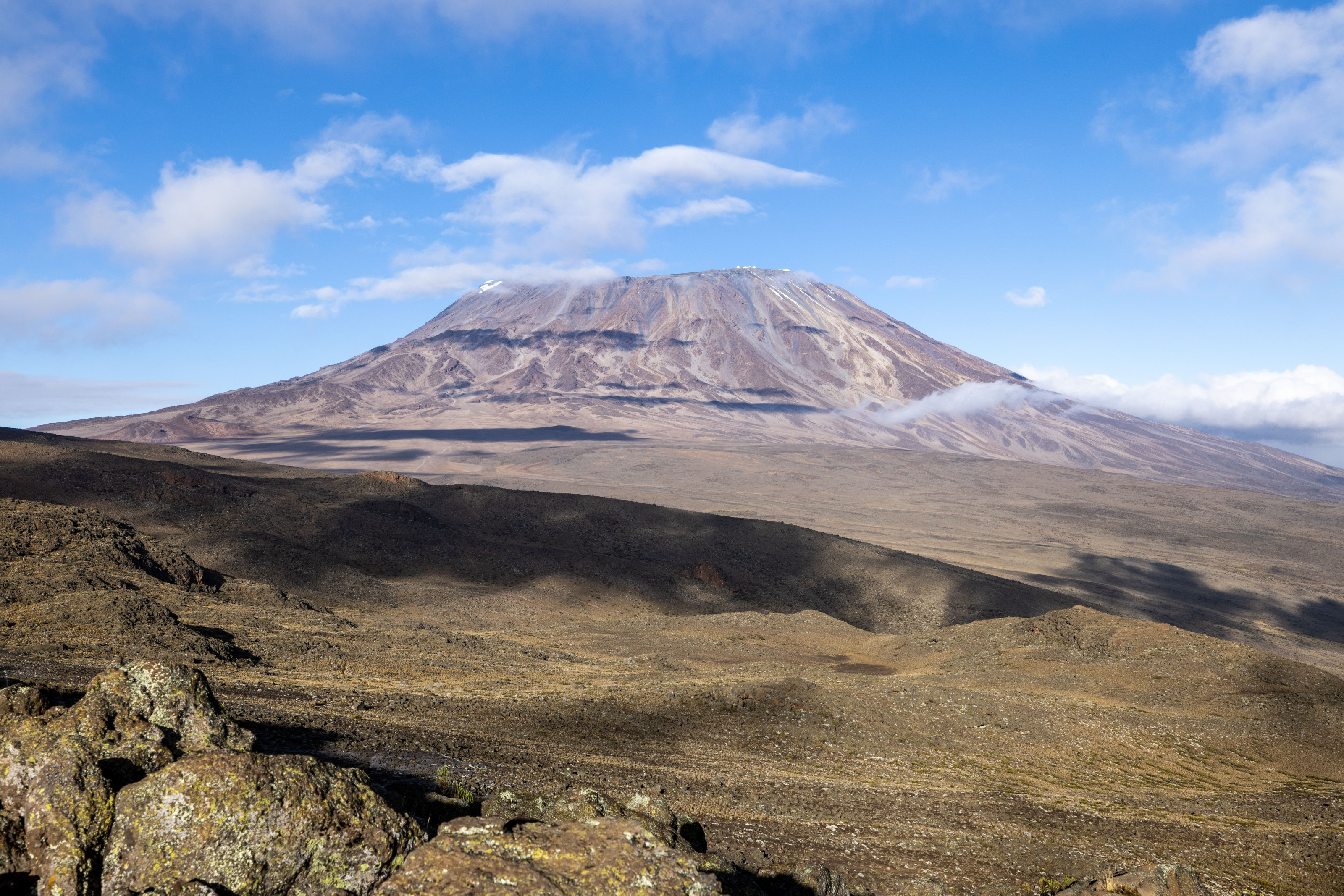 Mount Kilimanjaro rises above the savanna under a clear blue sky.