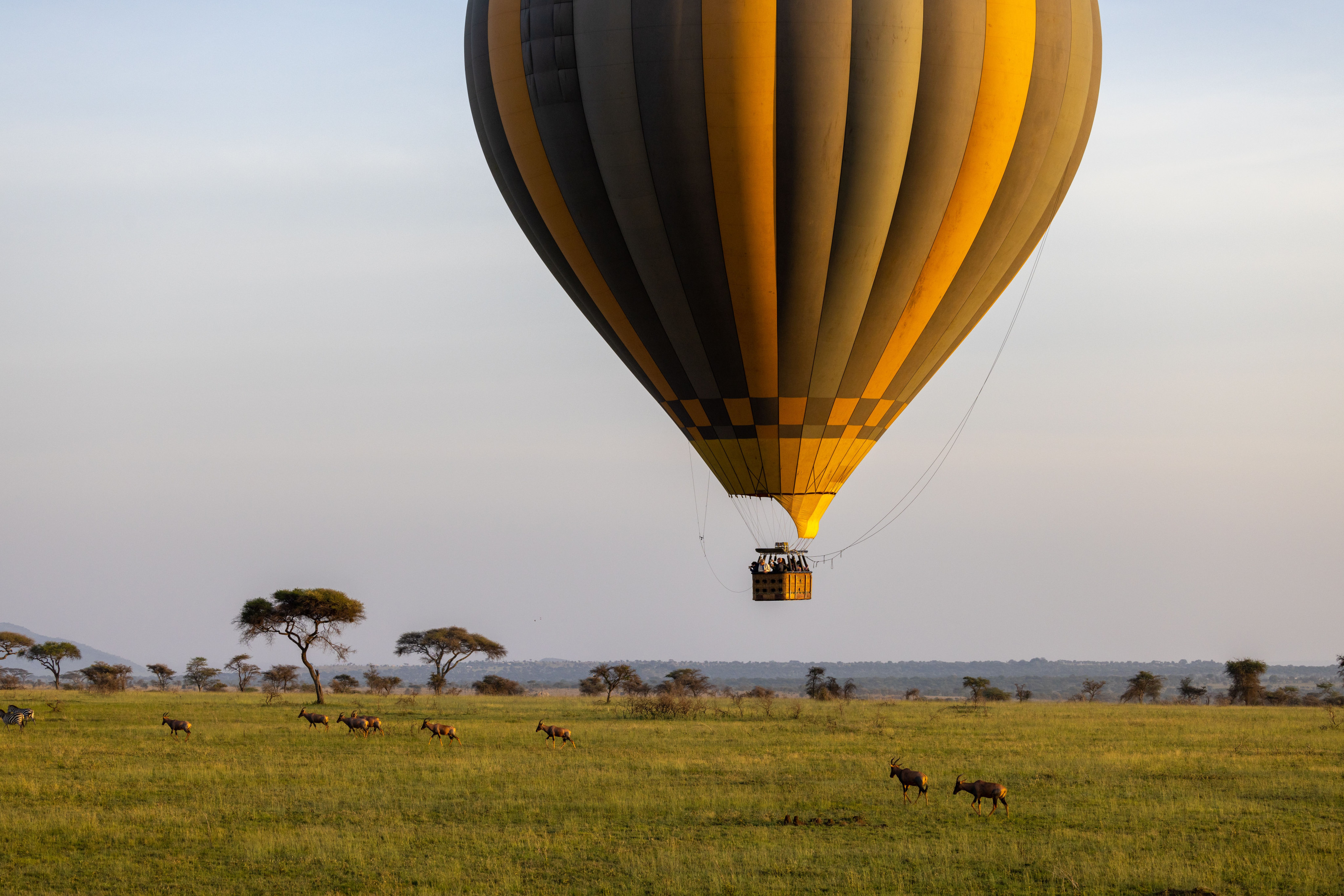 Maasai Mara National Reserve