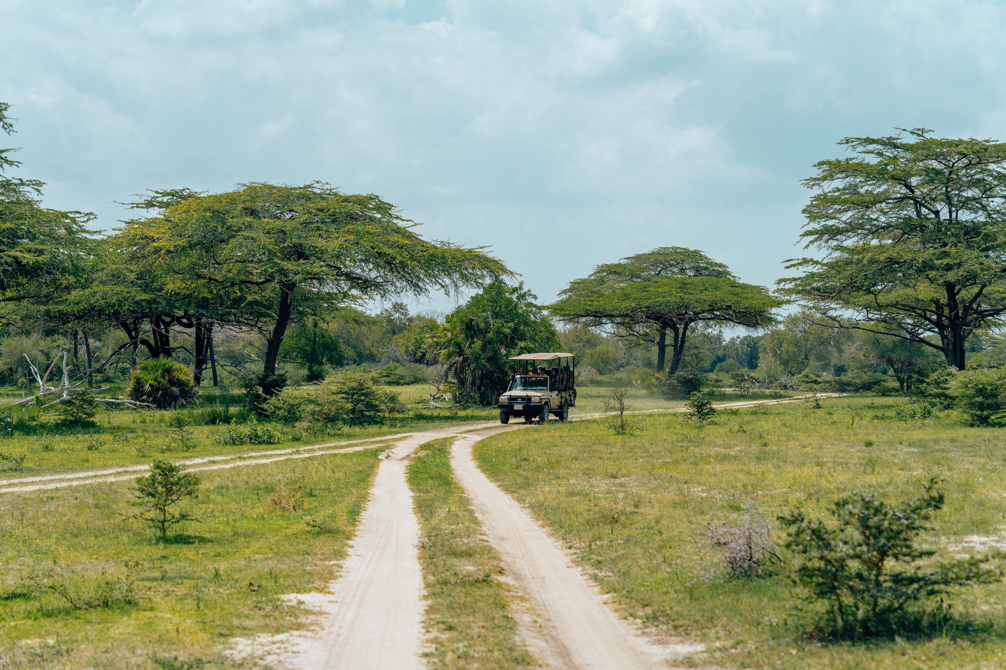 A safari vehicle drives through open African grassland dotted with acacia trees.