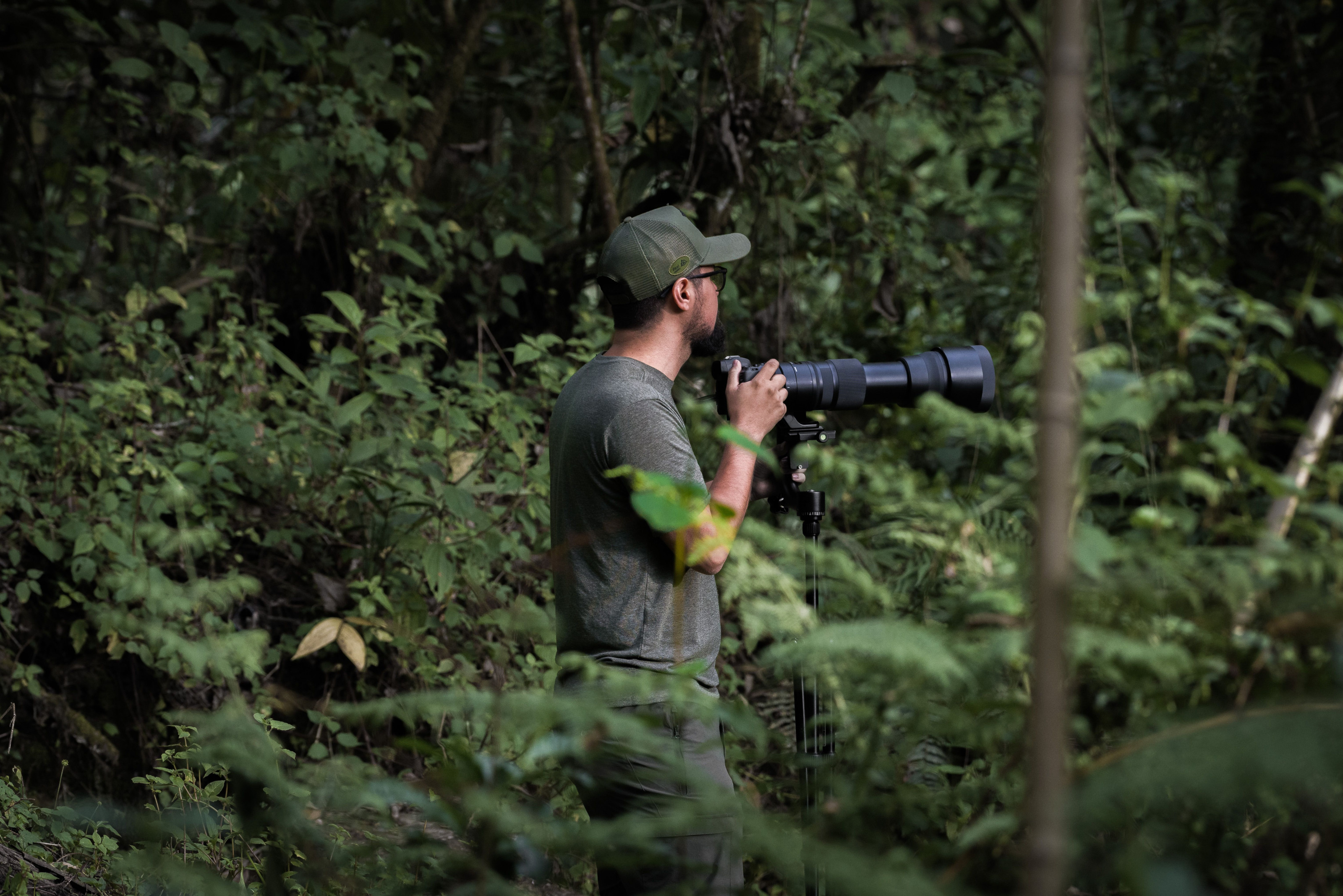 A photographer crouches with a telephoto lens, focused on wildlife deep in the forest.