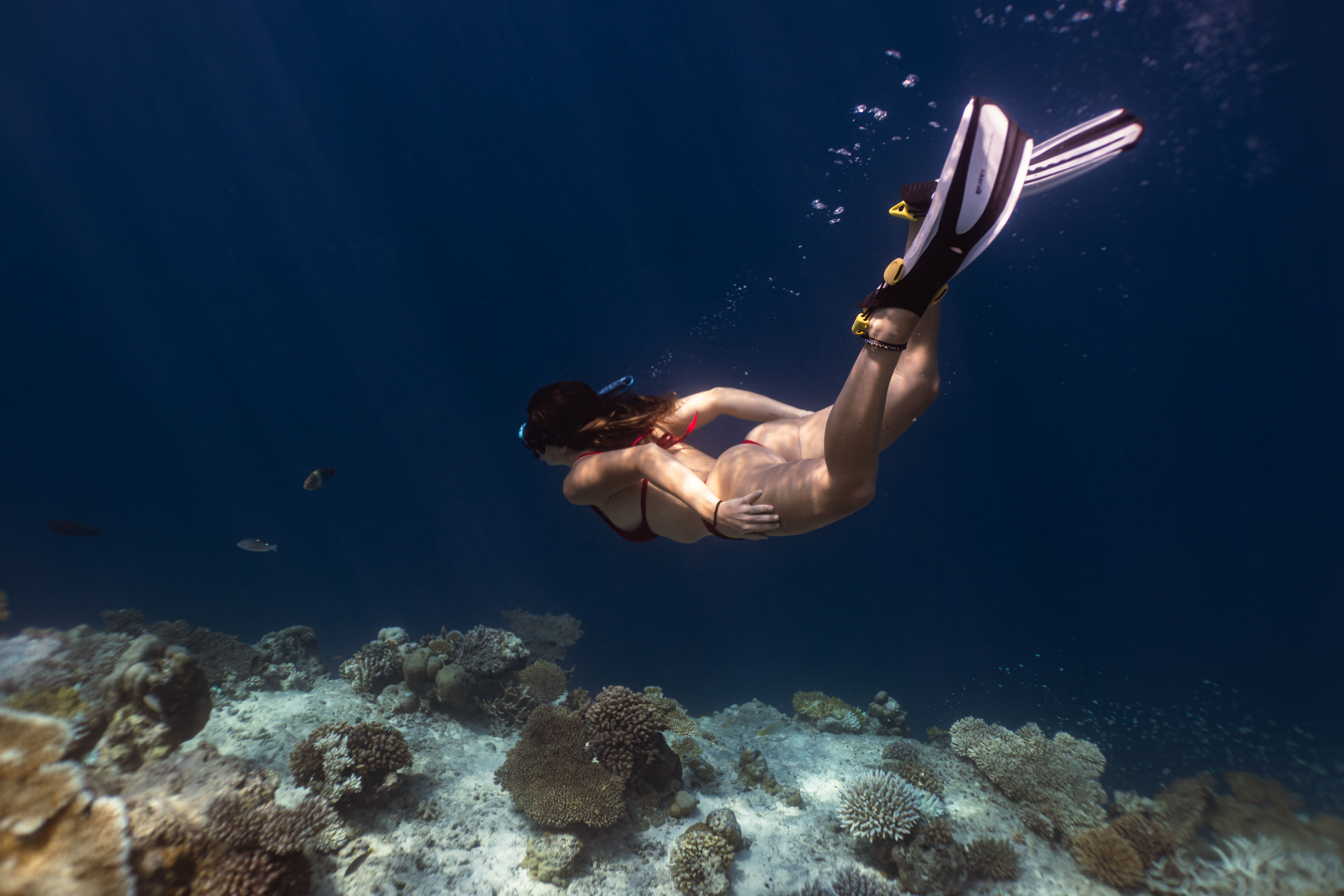 A snorkeller glides above a vibrant coral reef in clear turquoise water.