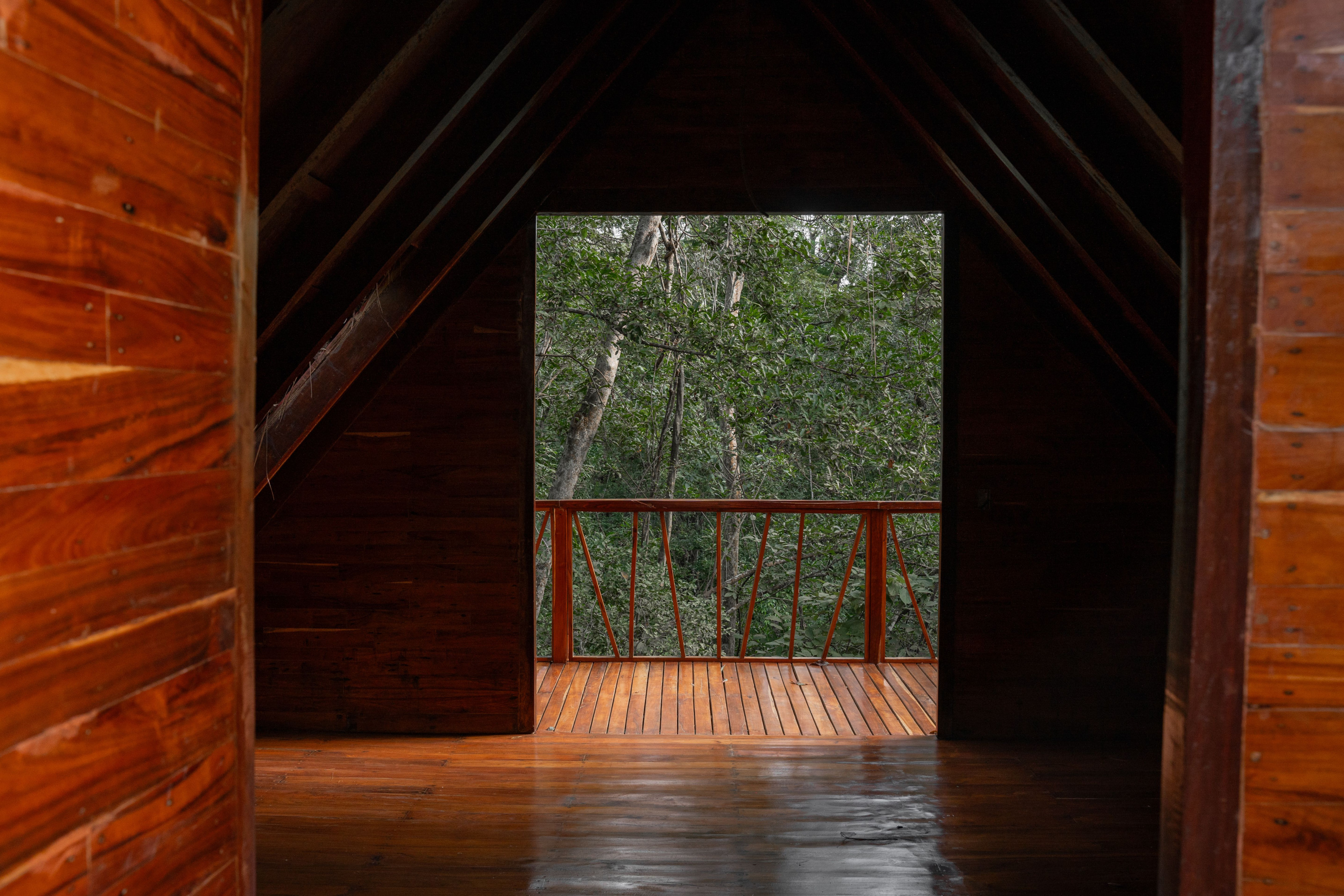 A wooden lodge balcony opens onto a dense green forest canopy view.