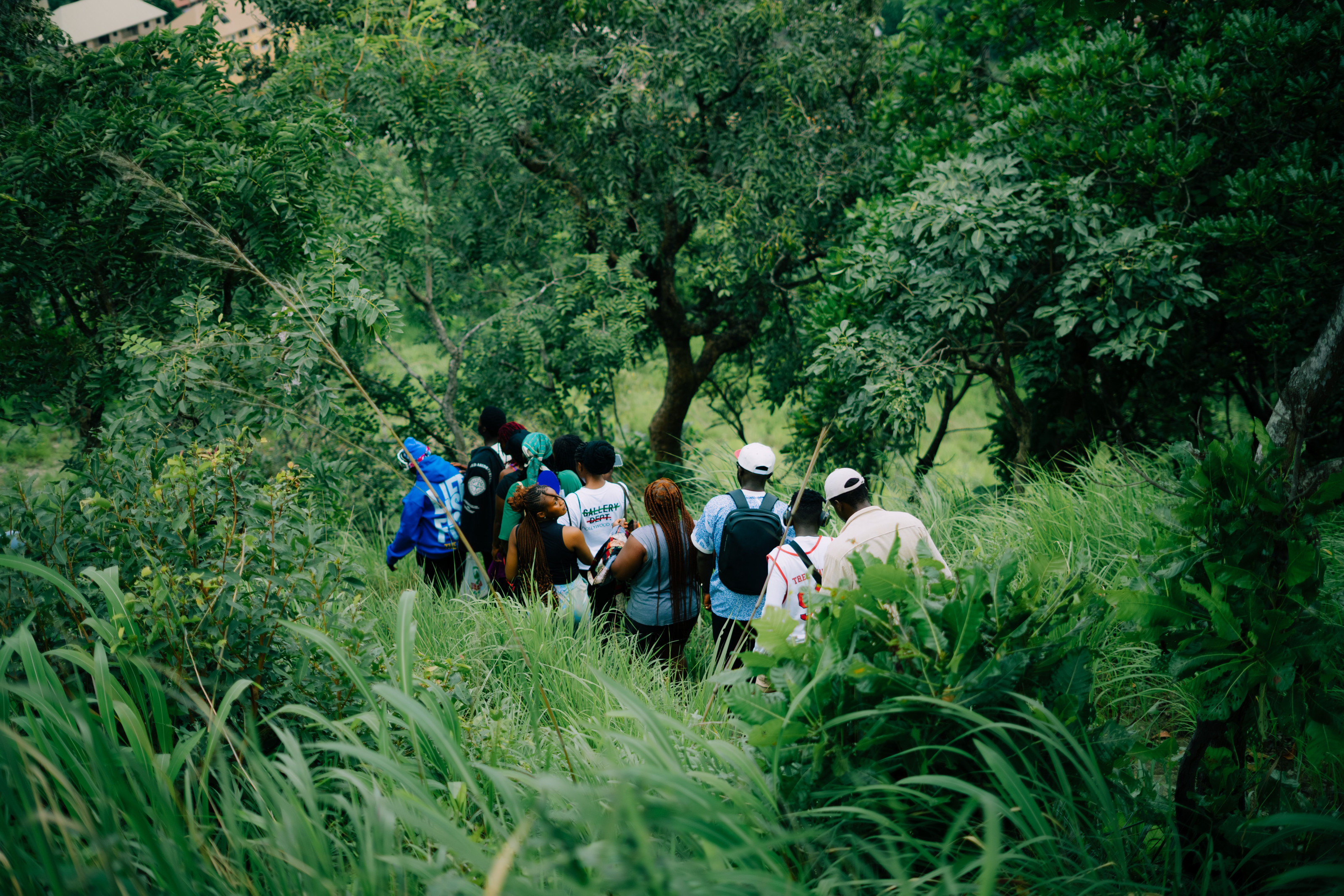 A group of hikers makes their way along a narrow path through dense, green forest.
