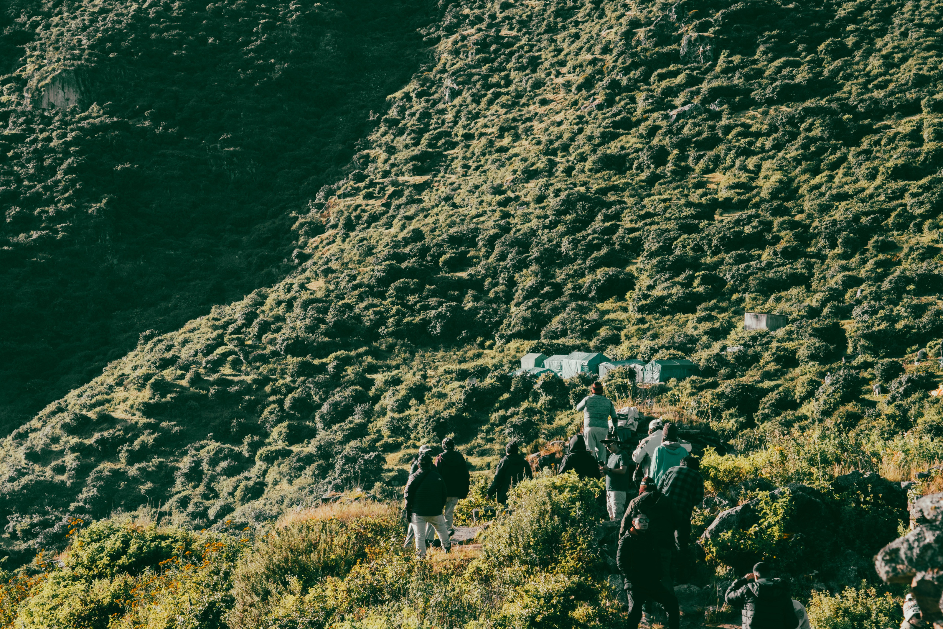 A group of trekkers making their way across a lush green hillside.