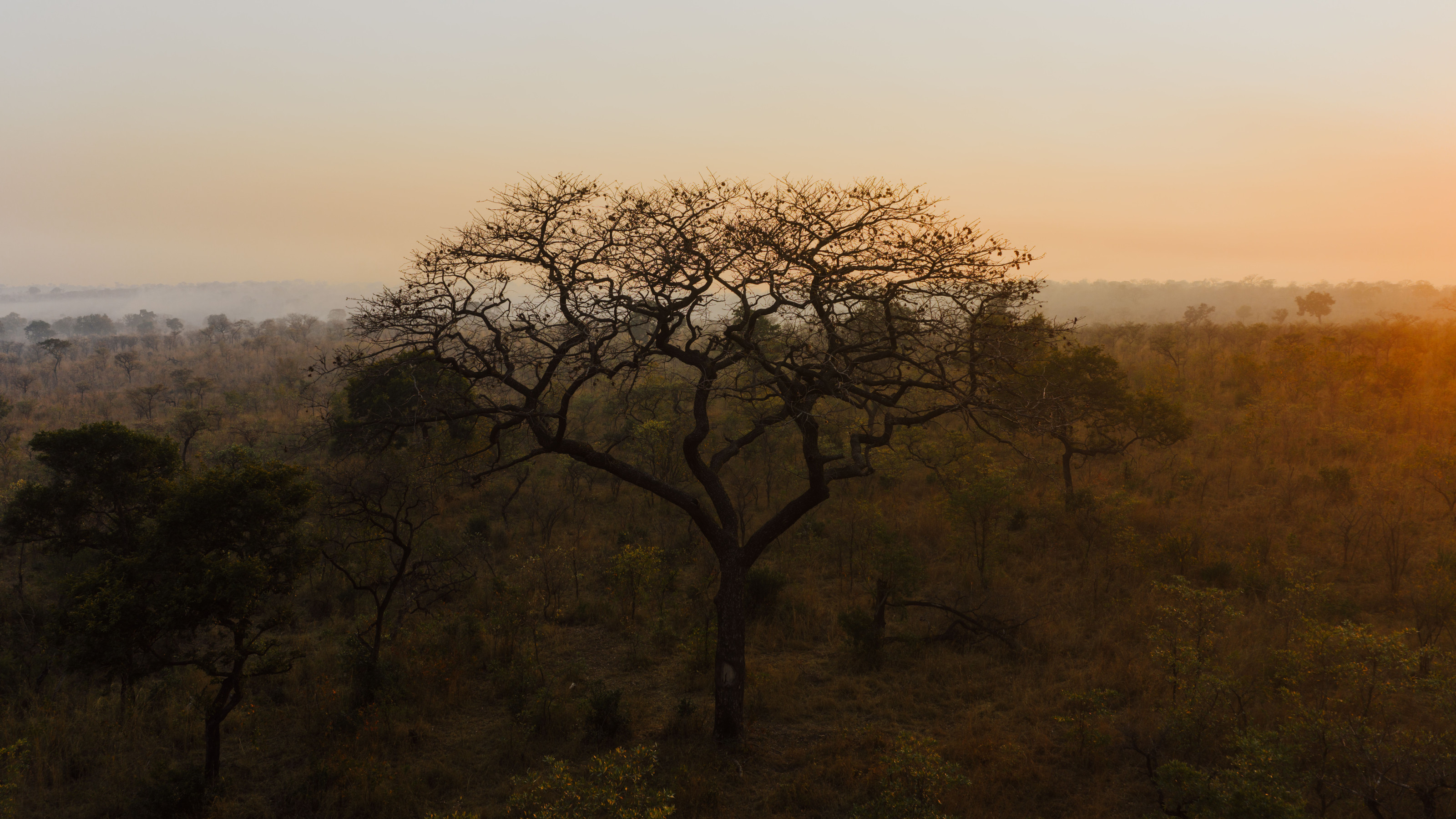 Tanzania