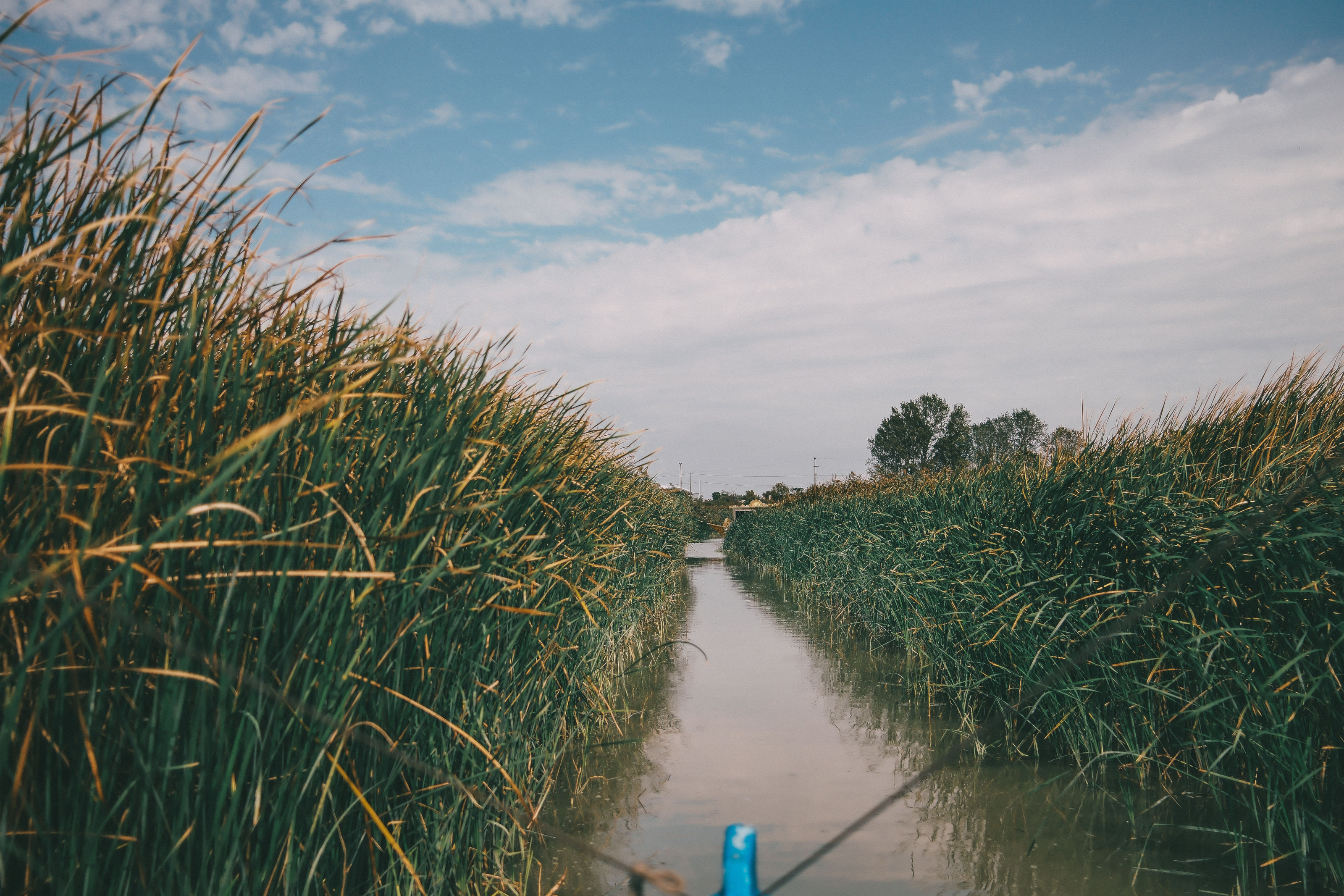 Tall reeds line a still wetland channel beneath a wide, partly cloudy sky.