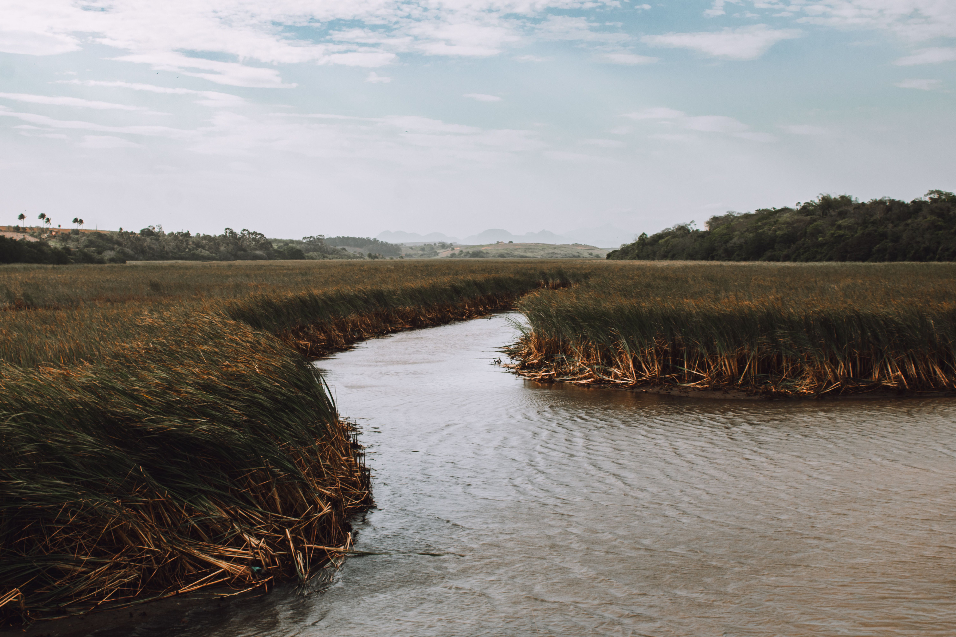 A river winding through lush green wetland beneath an open sky.
