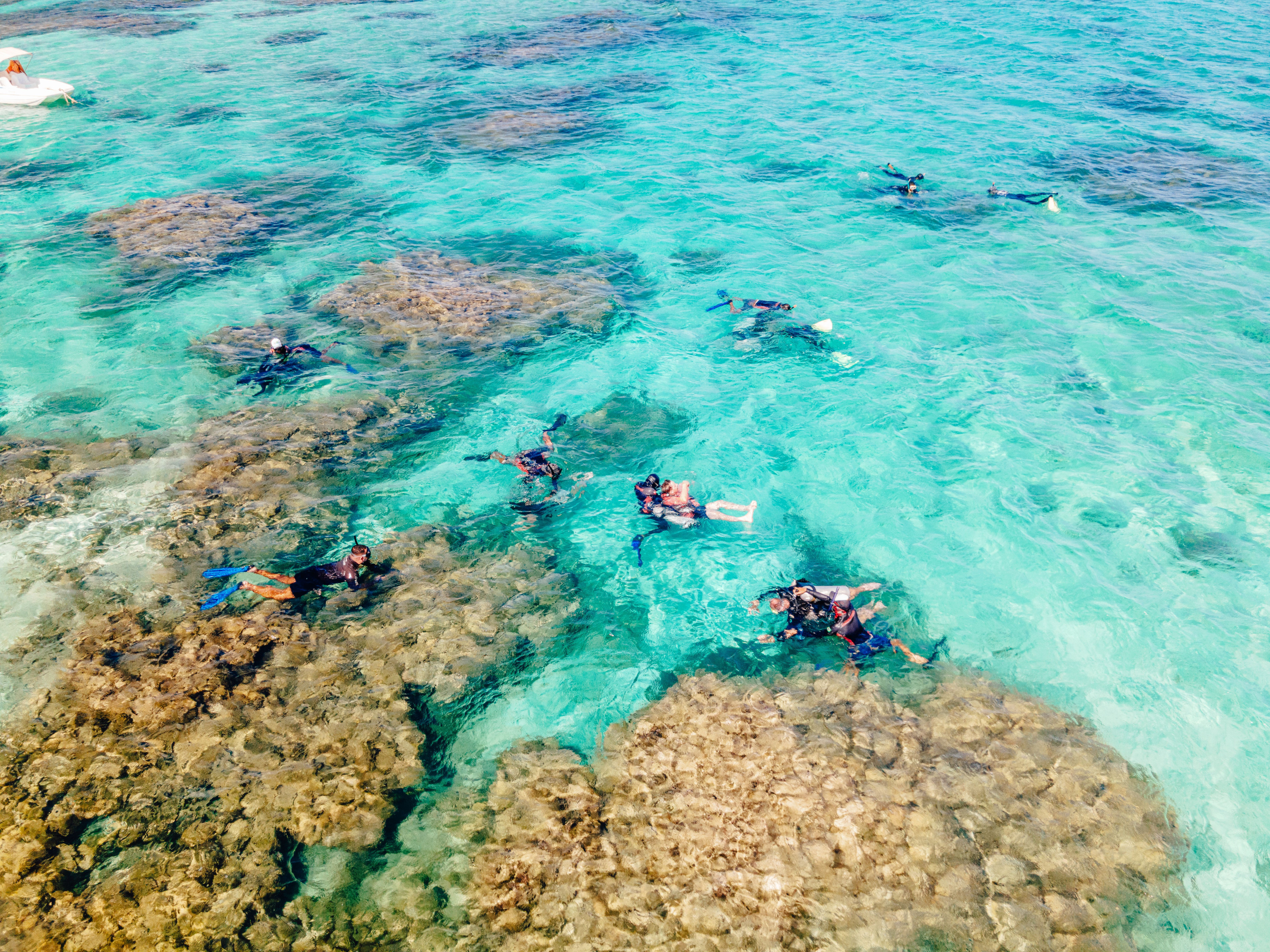 Snorkelers drift above vivid coral gardens in the crystal-clear shallows of Mnemba Atoll.