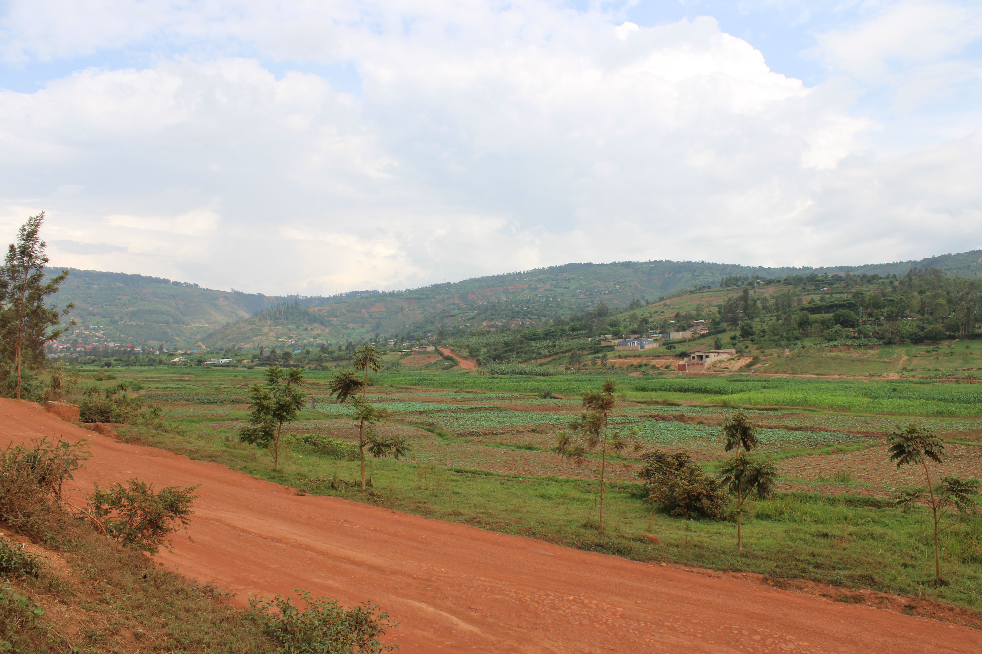 Lush green terraced hills roll across the countryside near the Rwandan border.