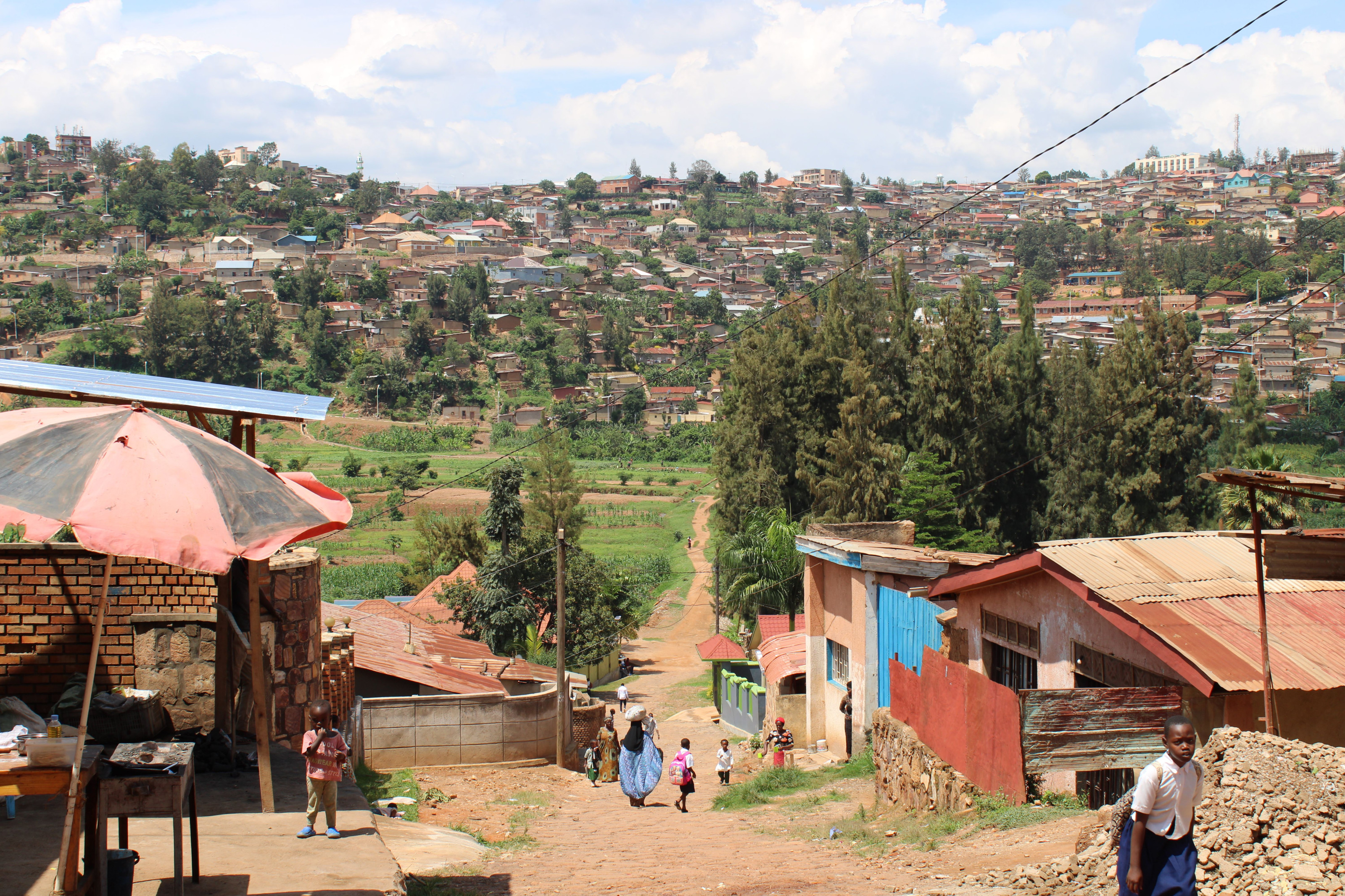 A hillside neighborhood of homes is tucked among vivid green terraced slopes.