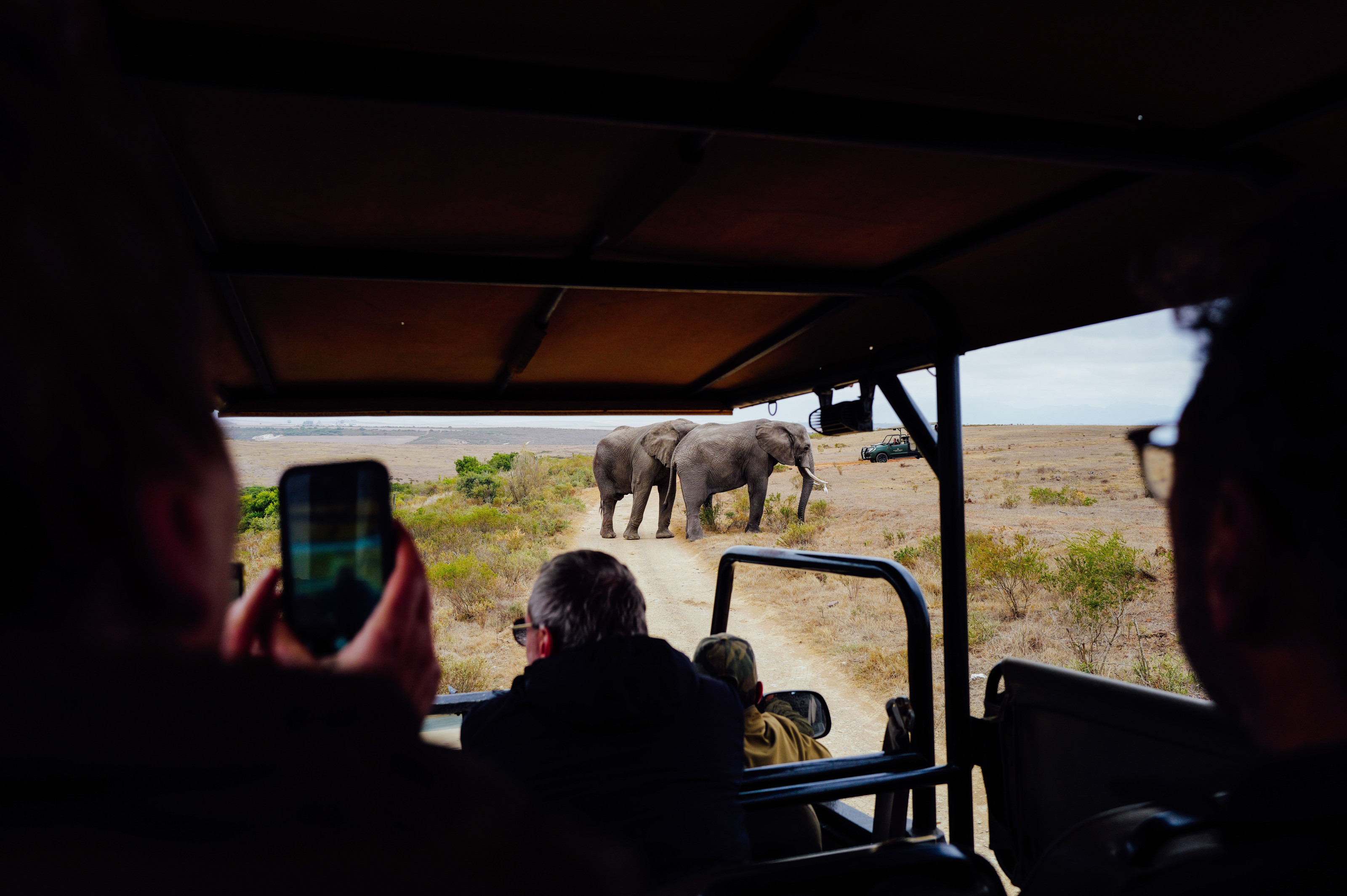 Passengers in an open safari vehicle watch a group of African elephants moving across the plain nearby.