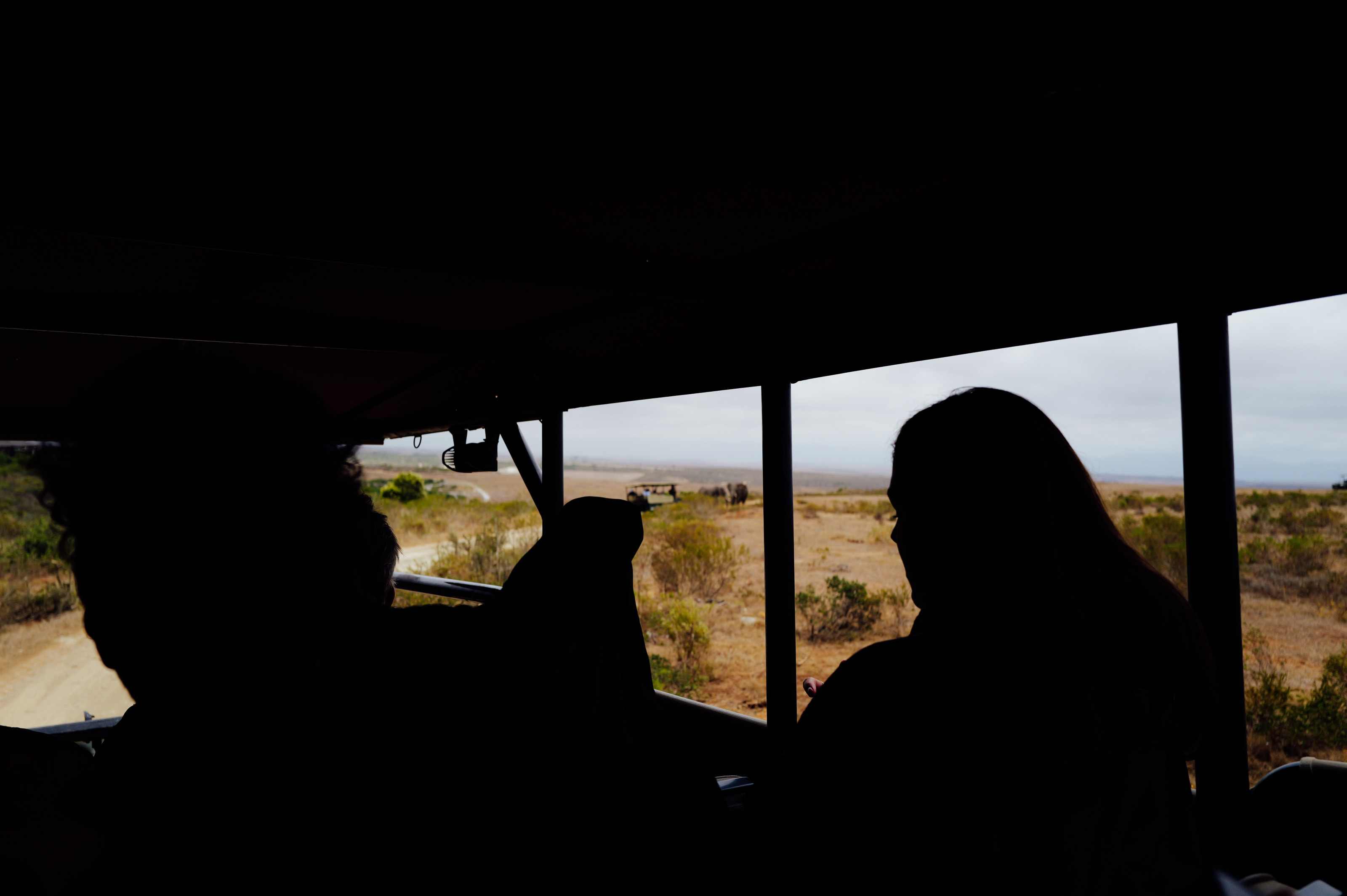 Silhouetted safari-goers watch the migration unfold from an open-sided safari vehicle.
