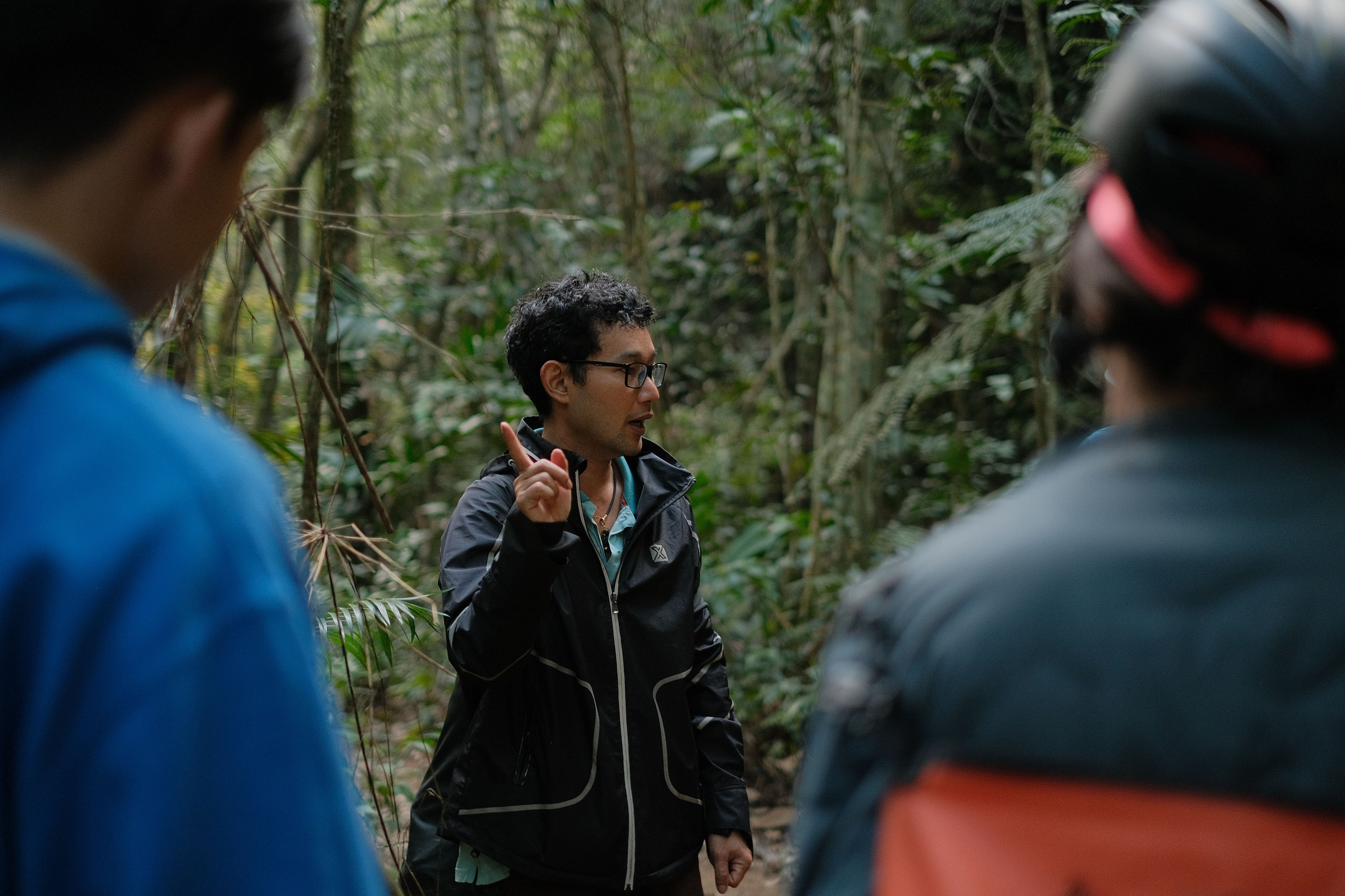A guide leading a small group along a trail through dense forest.