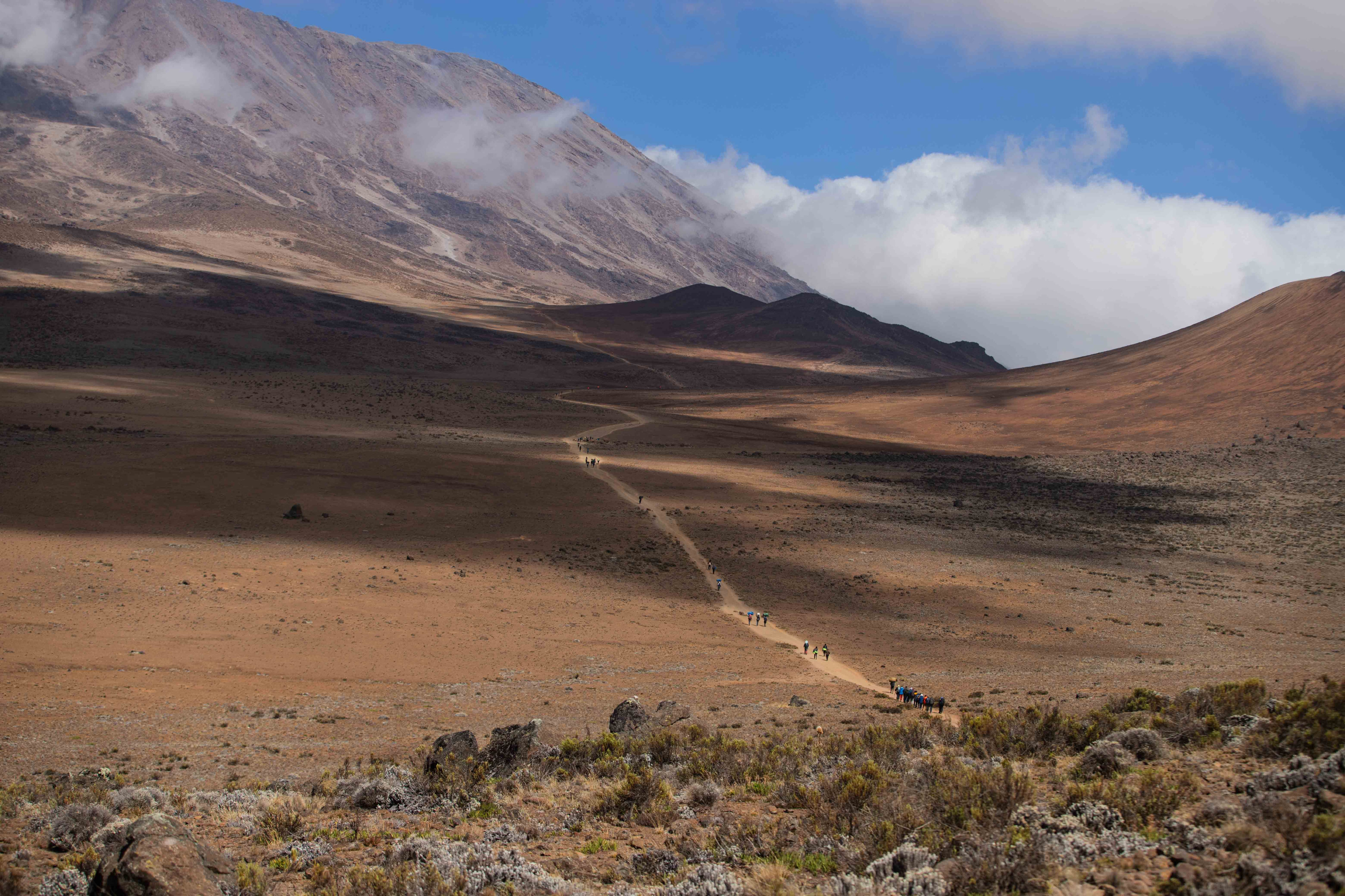 A dusty trekking path winds through the barren alpine desert zone of Mount Kilimanjaro.