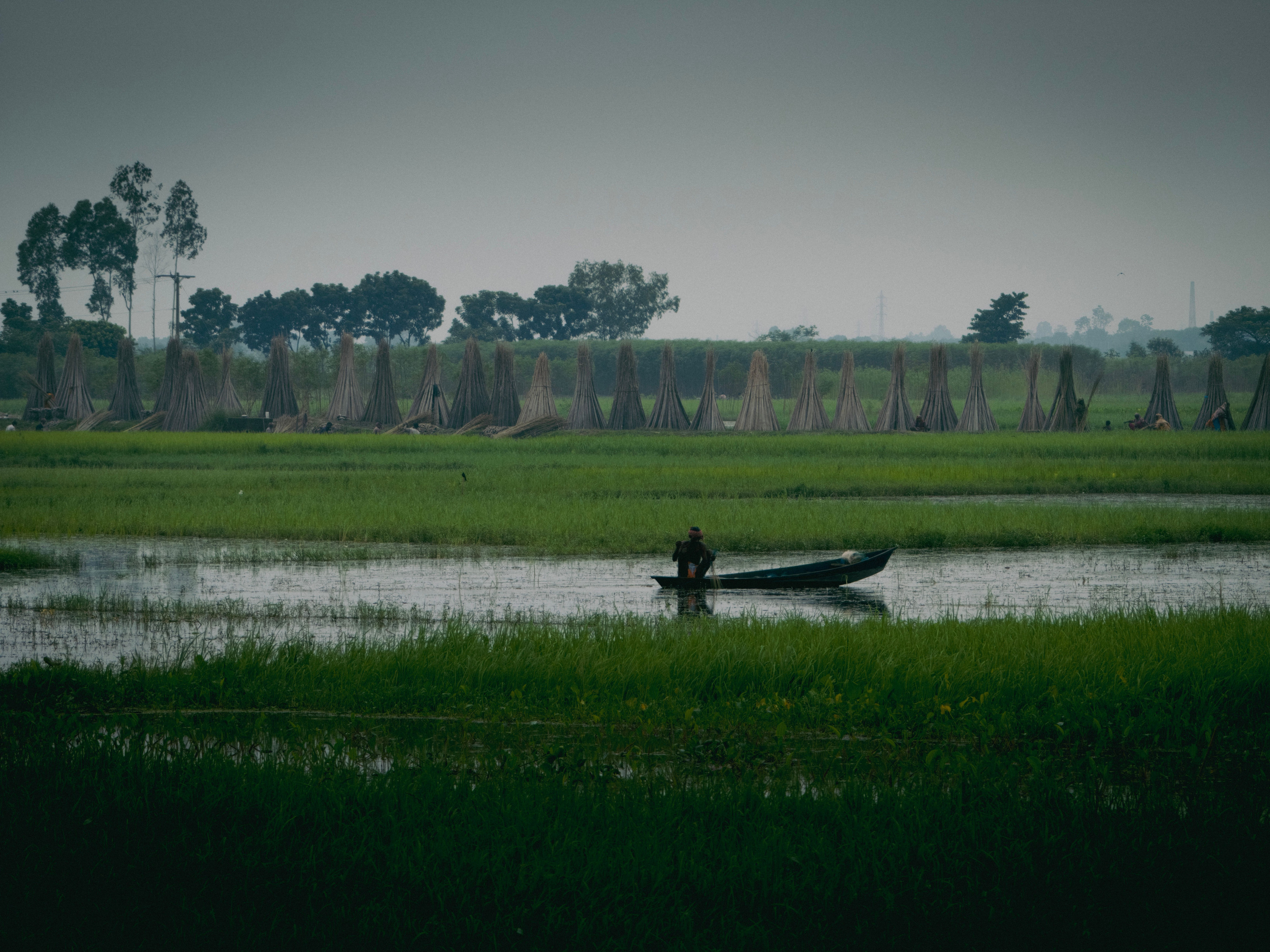 A guide paddles a wooden canoe quietly through a lush, marshy waterway.
