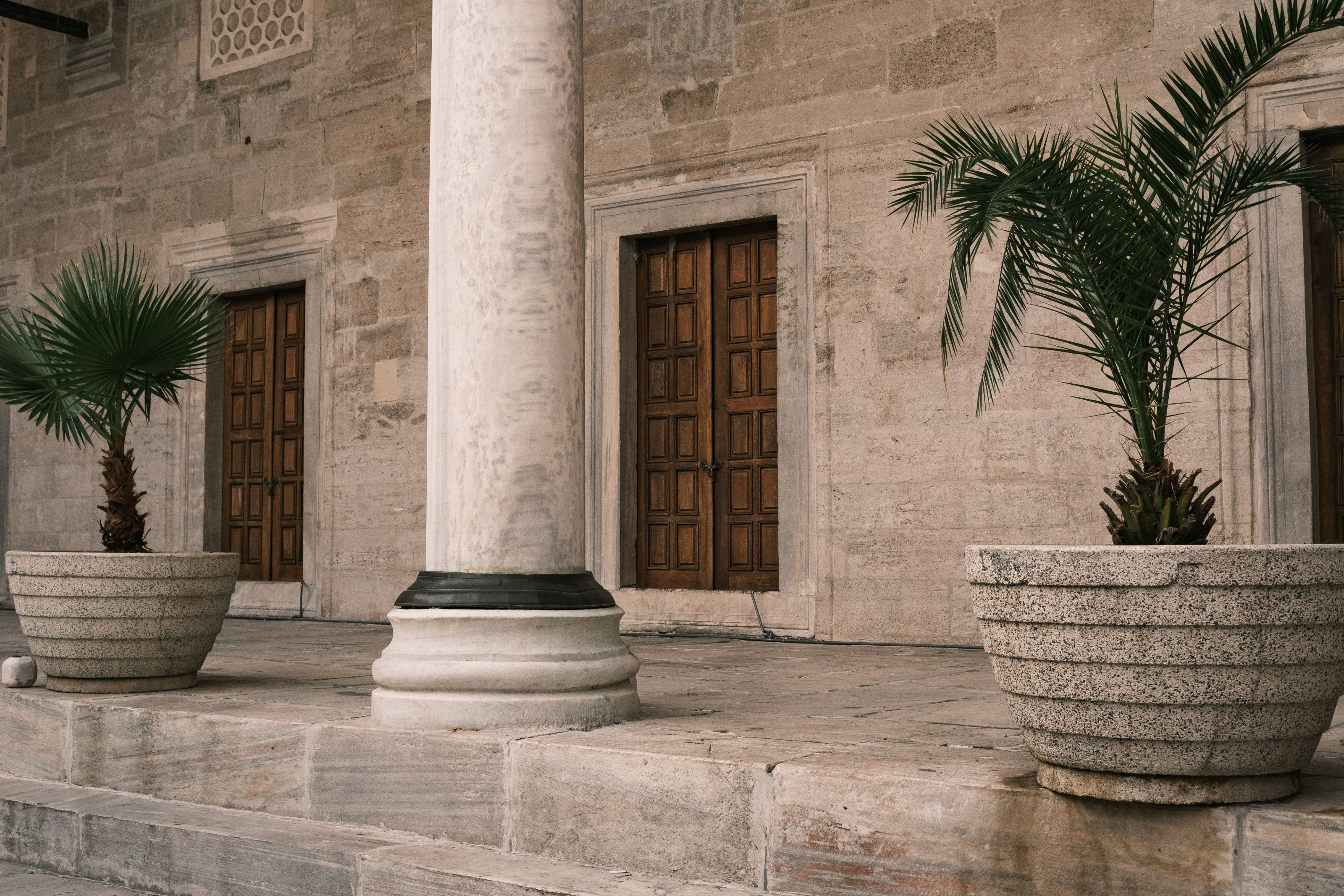 Historic stone architecture with potted palms flanking a wooden doorway.