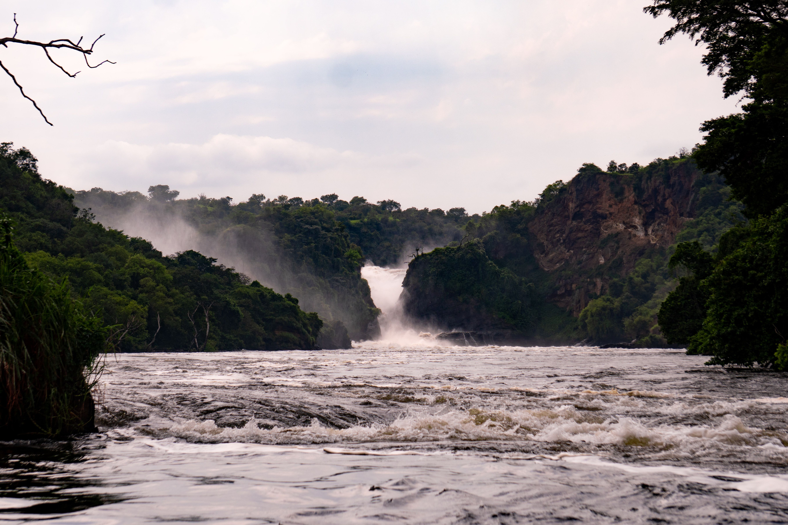 The Nile River churns through a narrow rocky gorge at Murchison Falls surrounded by dense green forest.