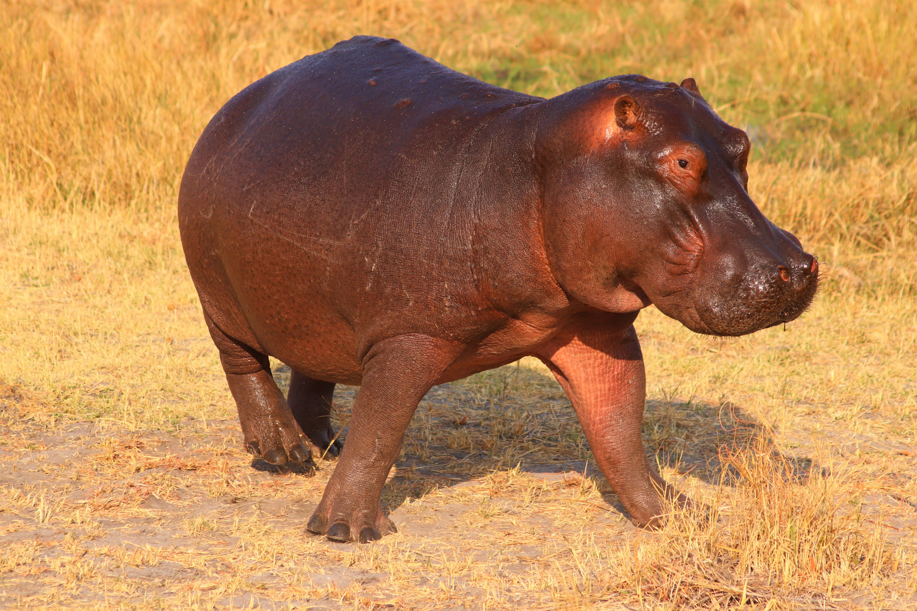 Queen Elizabeth National Park