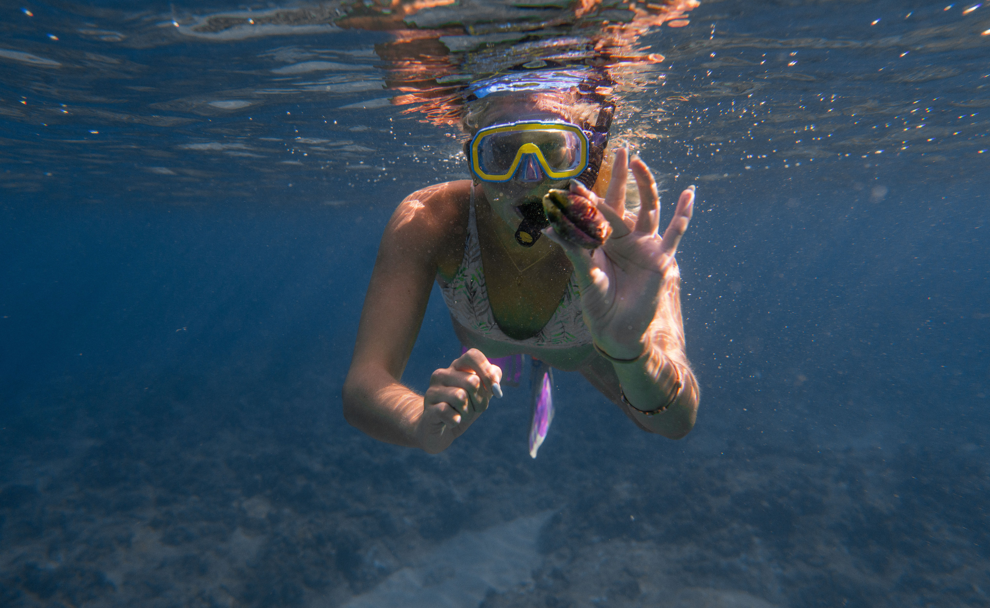 A swimmer holds up a shell while diving near a coral formation in clear blue water.